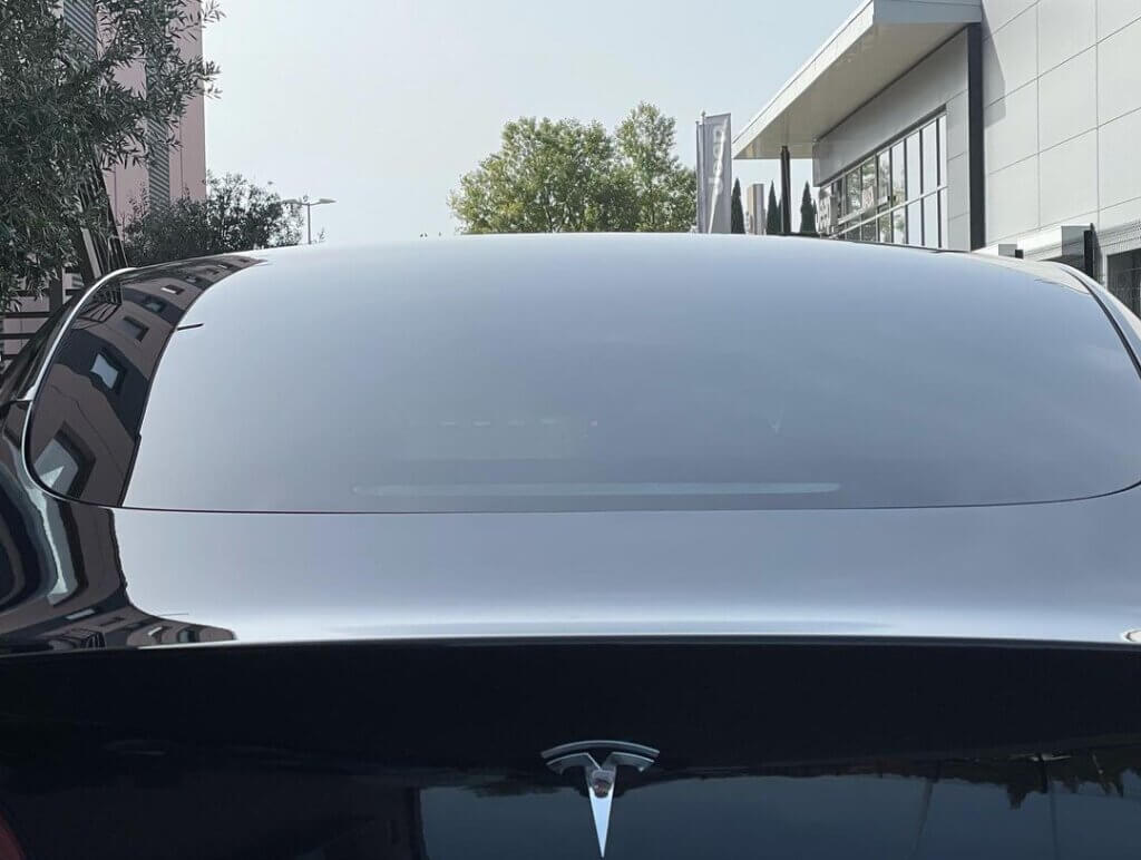 242615139 364613645301018 4766615018407468888 n