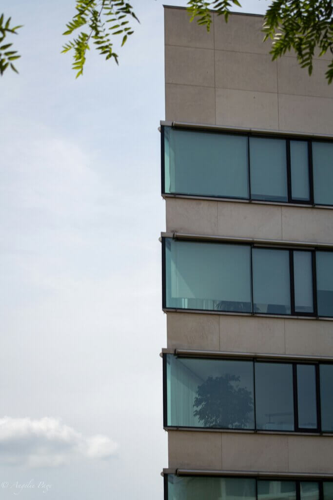 angelie page mqeqskrjth8